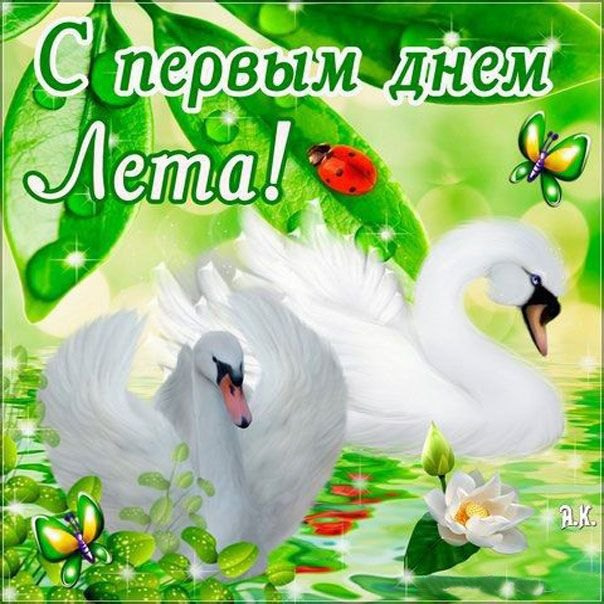 Картинки с первым днем лета (55 открыток). Картинки с надписями: первый день лета, здравствуй лето, с началом лета
