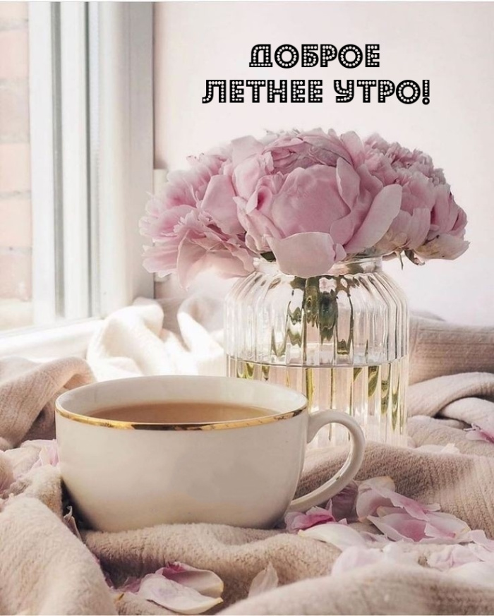 Картинки с добрым летним утром (195 открыток). Доброе летнее утро: картинки с надписями