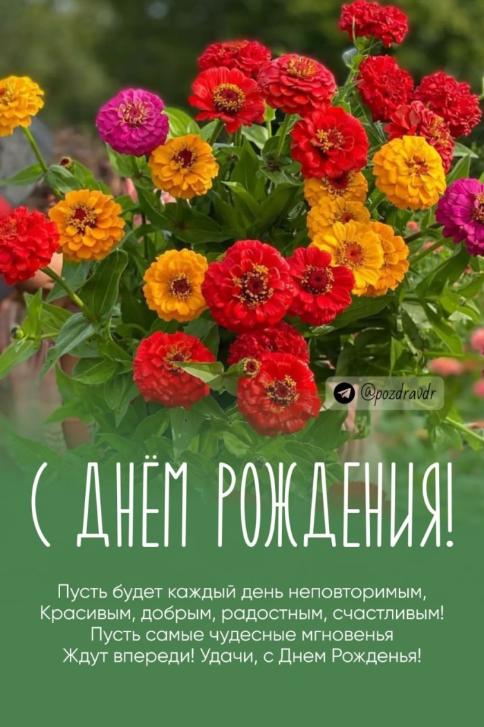 Картинки на День рождения женщине (100 открыток). С Днем рождения - картинки с пожеланиями для женщины