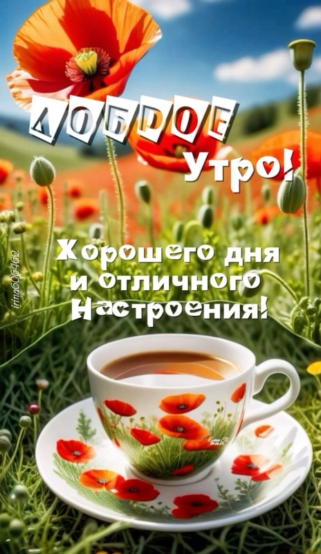 Красивые картинки "Хорошего дня" . Красивые картинки Хорошего дня и Доброго утра 