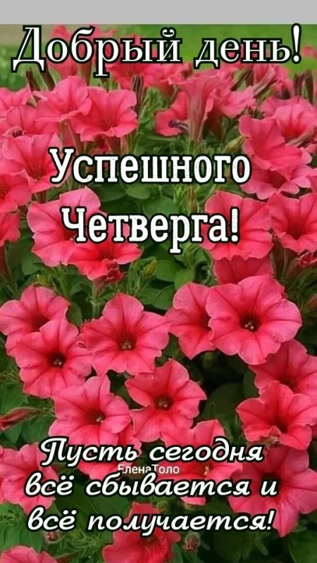 Картинки Доброе утро четверга (80 открыток). Красивые картинки Доброе утро четверга
