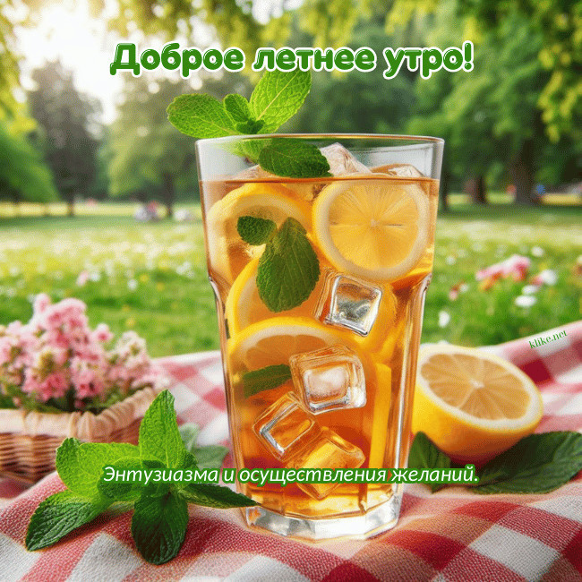 Картинки с добрым летним утром (195 открыток). Позитивные картинки с пожеланием Доброго летнего утра