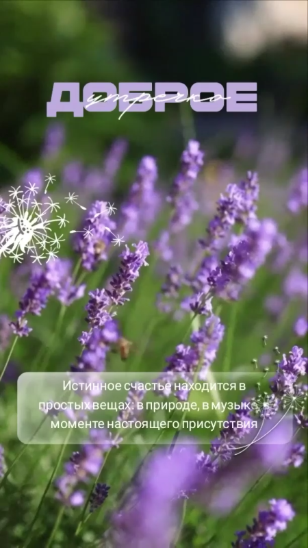 Картинки Доброе июльское утро. Красивые картинки Доброго июльского утра
