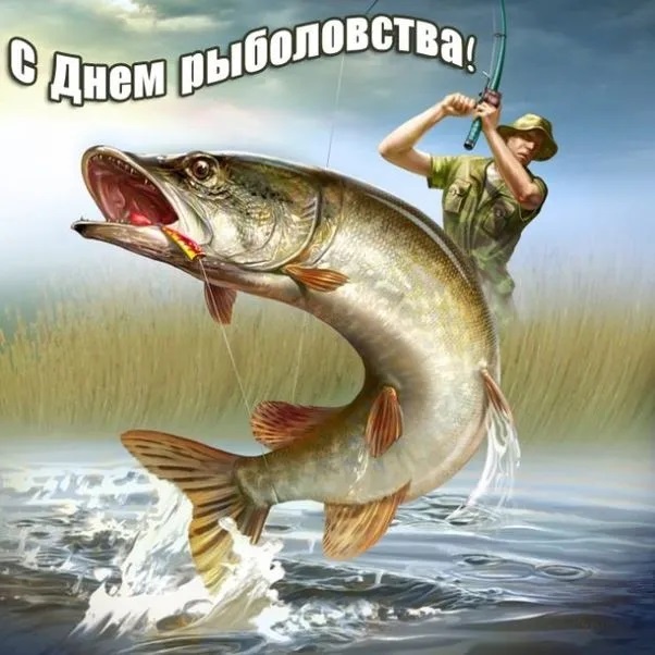 Прикольные картинки с Днем рыболовства (30 открыток). Прикольные открытки с Днем рыболовства