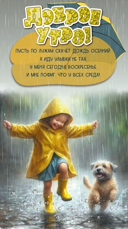 Картинки Доброе утро среды (90 открыток). Доброе утро среды - картинки с пожеланиями
