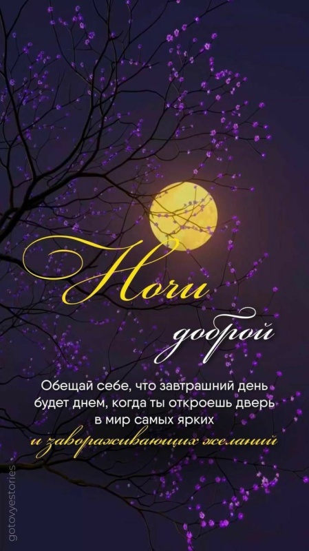 Картинки Спокойной ночи красивые, летние, прикольные. Спокойной ночи - картинки с пожеланиями