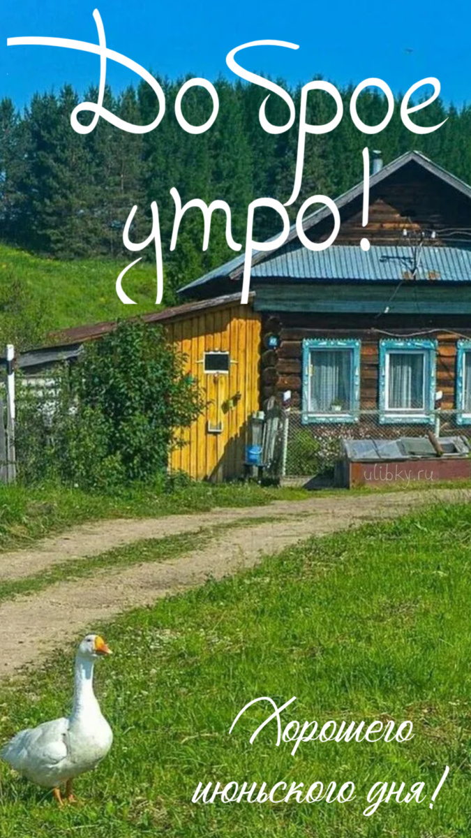Картинки с добрым июньским утром (140 открыток). Позитивные картинки с пожеланием Доброго июньского утра