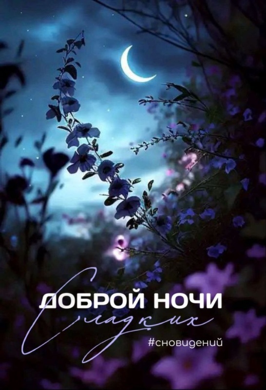 Картинки "Доброй летней ночи". Добрый летний вечер - картинки с пожеланиями