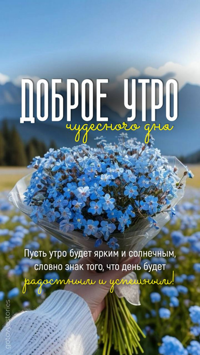 Картинки с добрым летним утром (70 открыток). Доброе летнее утро - картинки с пожеланиями