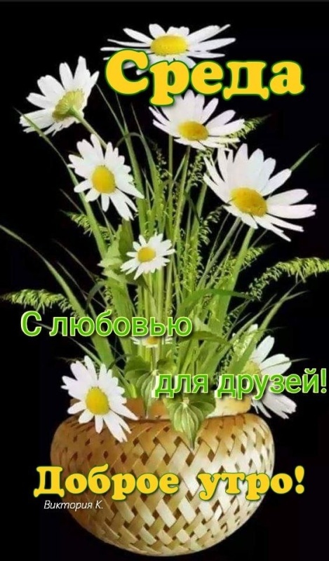 Картинки Доброе утро среды (90 открыток). Доброе утро среды - картинки с пожеланиями