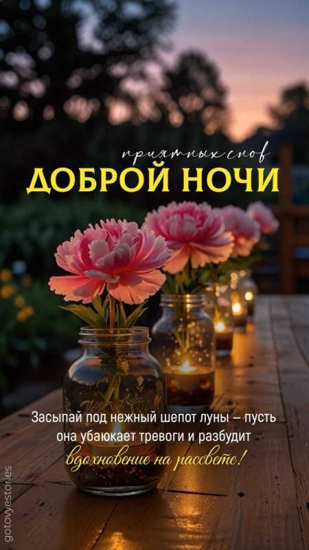 Картинки Спокойной ночи красивые, летние, прикольные. Красивые картинки "Спокойно ночи" летние