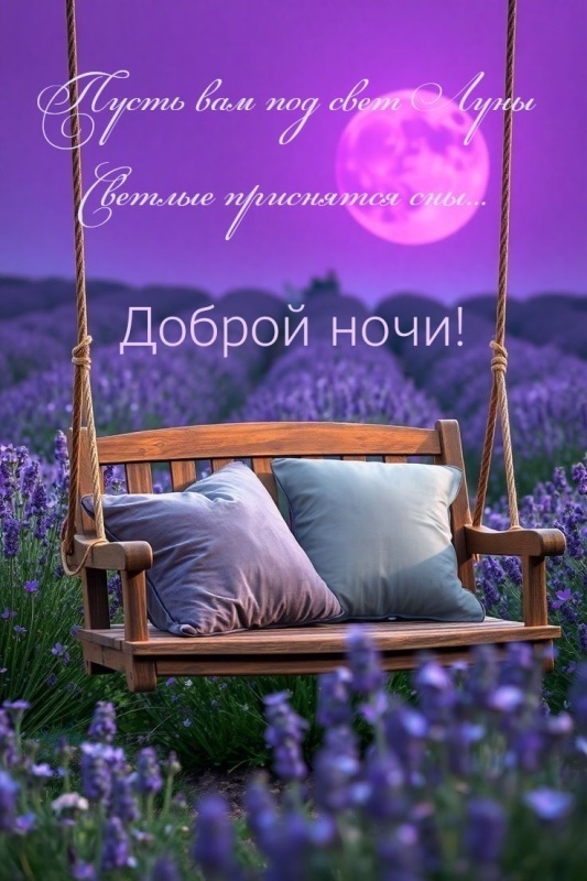 Картинки Спокойной ночи красивые, летние, прикольные. Спокойной ночи - картинки с пожеланиями