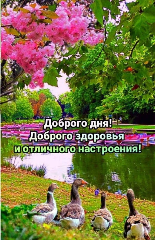 Красивые картинки "Хорошего дня" . Картинки Хорошего и доброго дня