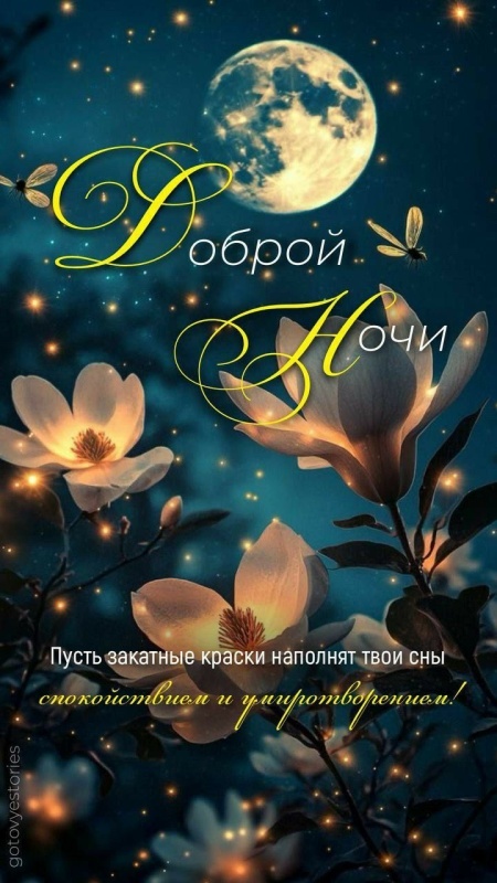 Картинки Спокойной ночи красивые, летние, прикольные. Красивые картинки "Спокойно ночи" летние
