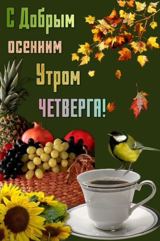 Картинки Доброе утро четверга (80 открыток). Красивые картинки Доброе утро четверга