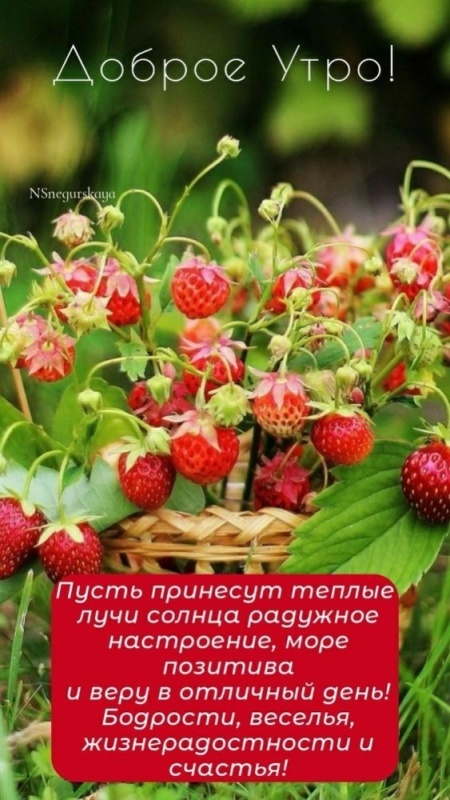 Картинки Доброе июльское утро. Картинки Доброе июльское утро