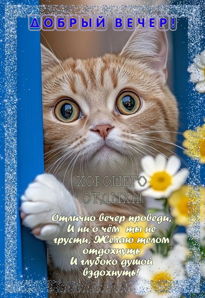 Красивые картинки Добрый летний вечер (70 открыток). Красивые картинки Добрый летний вечер