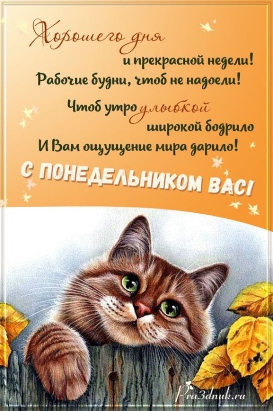 Открытки с Добрым утром понедельника (80 картинок). Прикольные картинки с добрым утром понедельника