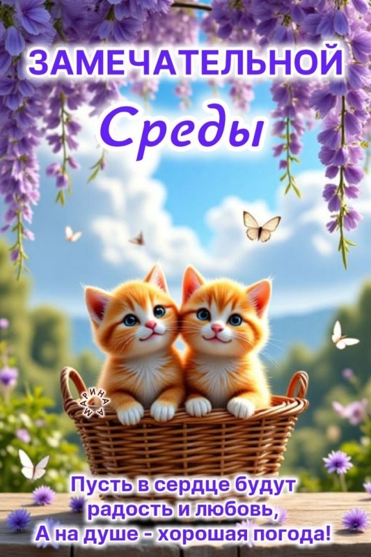 Картинки Доброе утро среды (90 открыток). Доброе утро среды - картинки с пожеланиями