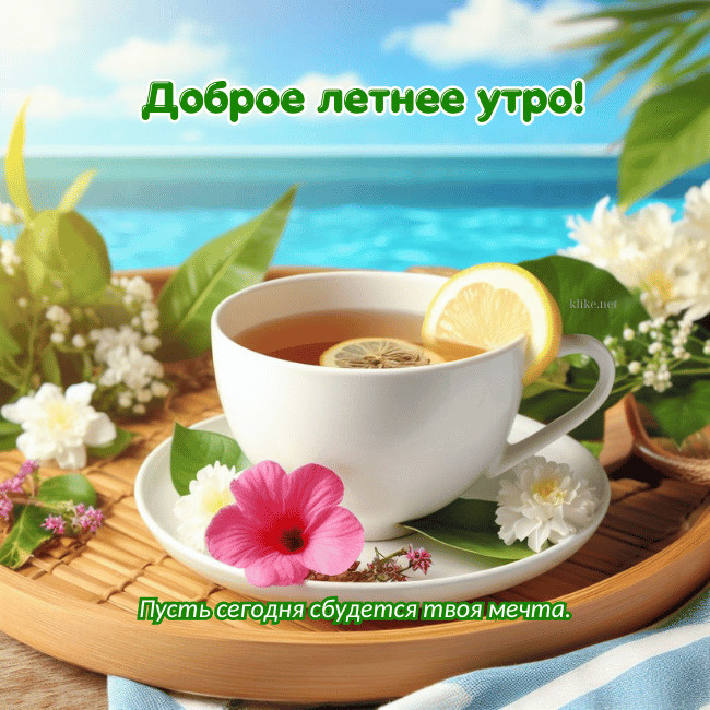 Картинки с добрым летним утром (195 открыток). Позитивные картинки с пожеланием Доброго летнего утра