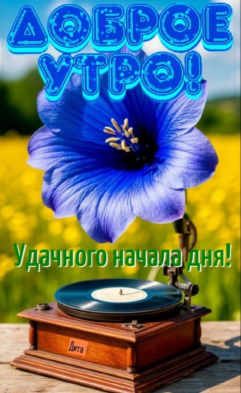 Красивые картинки "Хорошего дня" . Красивые картинки Хорошего дня и Доброго утра 