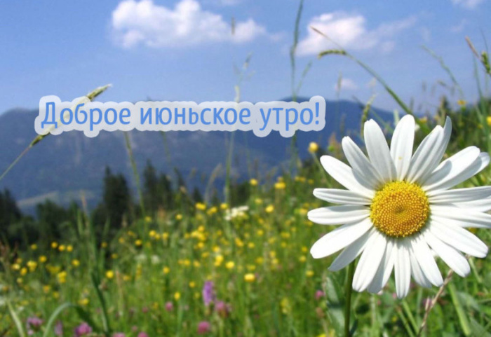 Картинки с добрым июньским утром (140 открыток). Позитивные картинки с пожеланием Доброго июньского утра