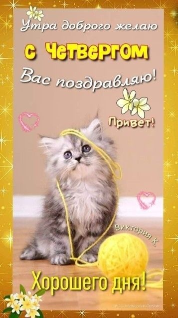 Картинки Доброе утро четверга (80 открыток). Позитивные картинки Доброе утро четверга