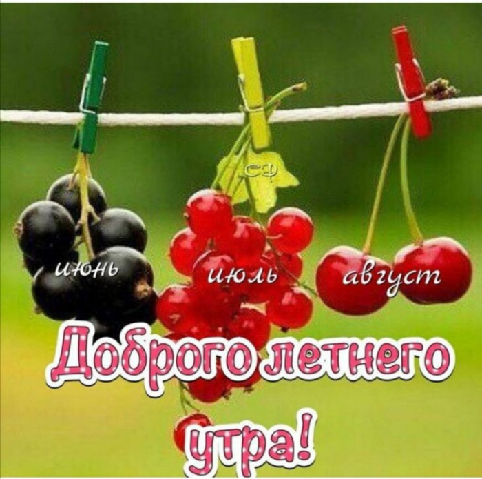 Картинки с добрым летним утром (195 открыток). Доброе летнее утро: картинки с надписями