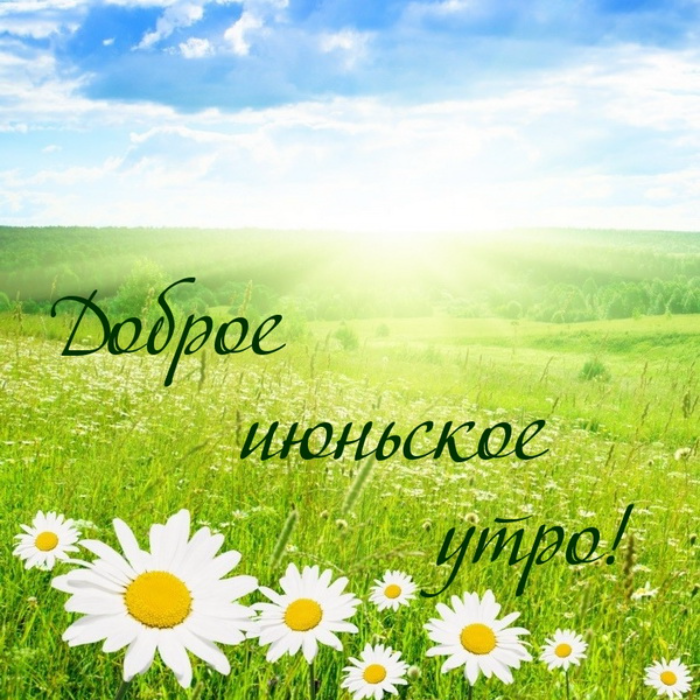 Картинки с добрым июньским утром (140 открыток)