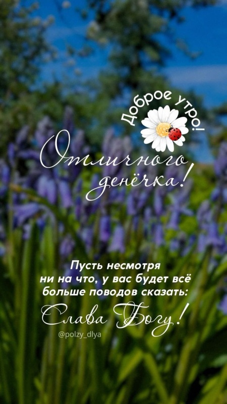 Картинки Доброе июльское утро. Красивые картинки Доброго июльского утра