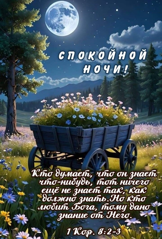 Картинки "Доброй летней ночи". Добрый летний вечер - картинки с пожеланиями