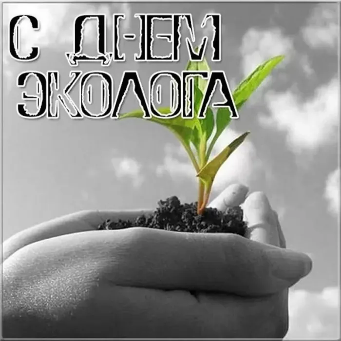 Картинки с Днем эколога (60 открыток). Красивые картинки с Днем эколога