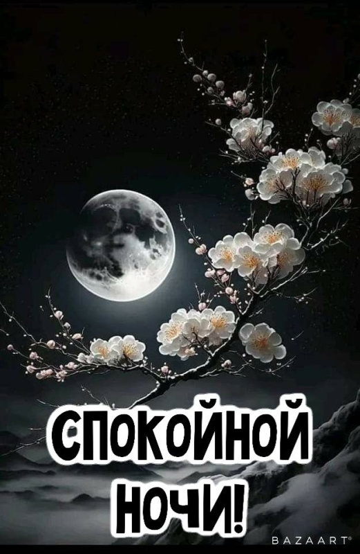 Картинки Спокойной ночи красивые, летние, прикольные. Красивые картинки "Спокойно ночи" летние