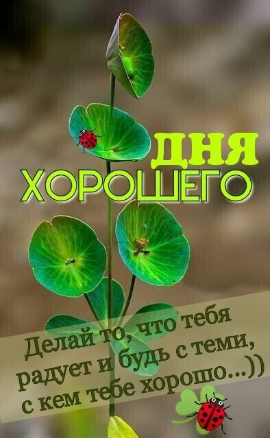 Красивые картинки "Хорошего дня" . Картинки Хорошего и доброго дня