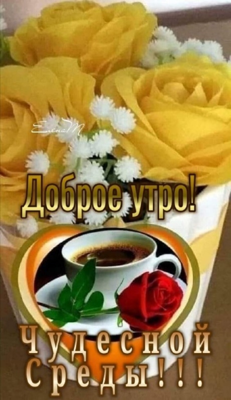 Картинки Доброе утро среды (90 открыток). Прикольные картинки Доброе утро среда