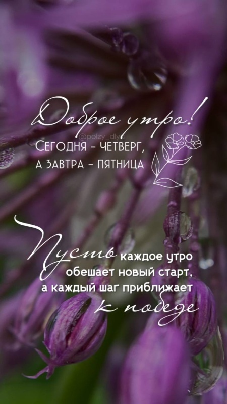 Картинки Доброе утро четверга (80 открыток). Стильные кргартинки Доброе утро четверга