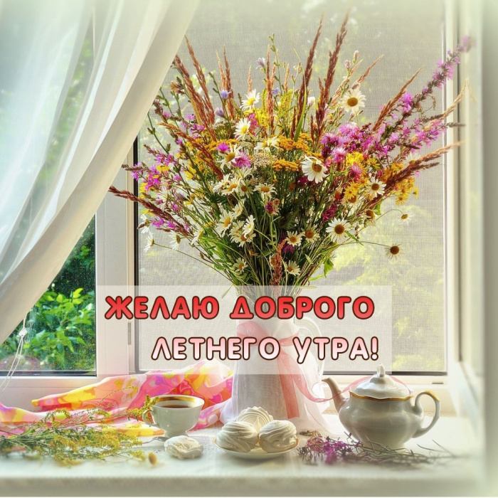 Картинки с добрым летним утром (195 открыток). Позитивные картинки с пожеланием Доброго летнего утра