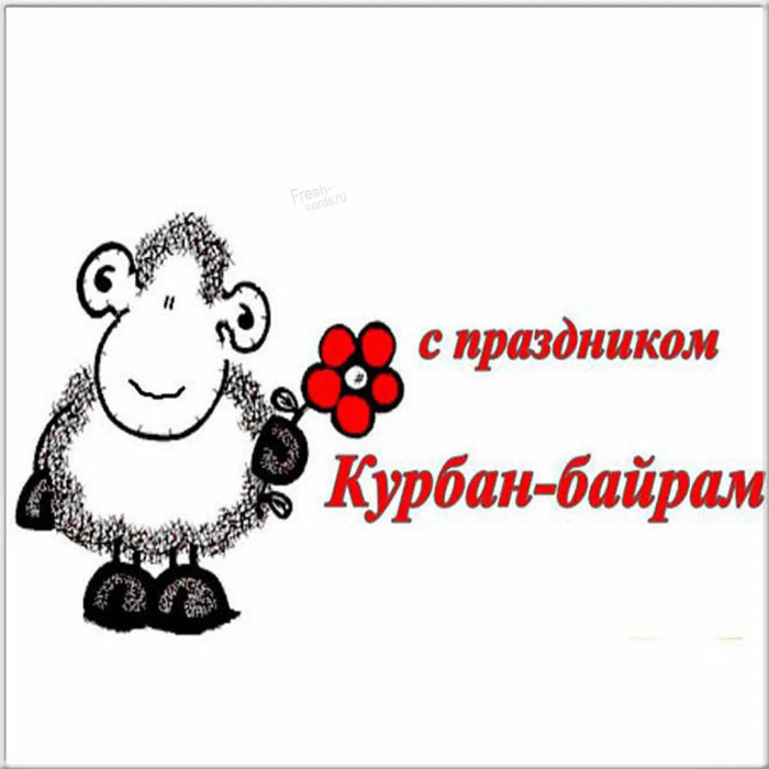 Картинки с праздником Курбан Байрам (330 открыток). Красивые картинки на Курбан Байрам