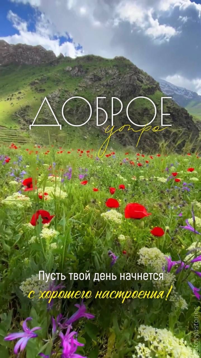 Картинки с добрым летним утром (70 открыток). Доброе летнее утро - картинки с пожеланиями