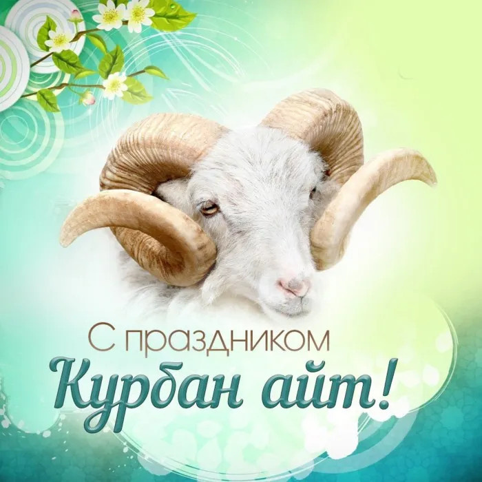 Картинки с праздником Курбан Байрам (330 открыток). Красивые картинки на Курбан Байрам