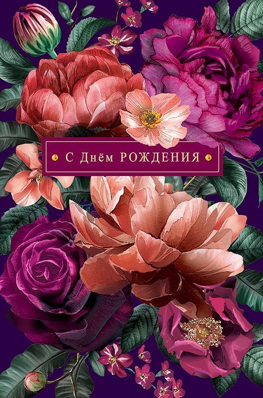 Картинки на День рождения женщине (100 открыток). Красивые картинки с Днем рождения женщине