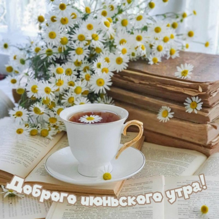Картинки с добрым июньским утром (140 открыток). Доброе утро июня: картинки с надписями