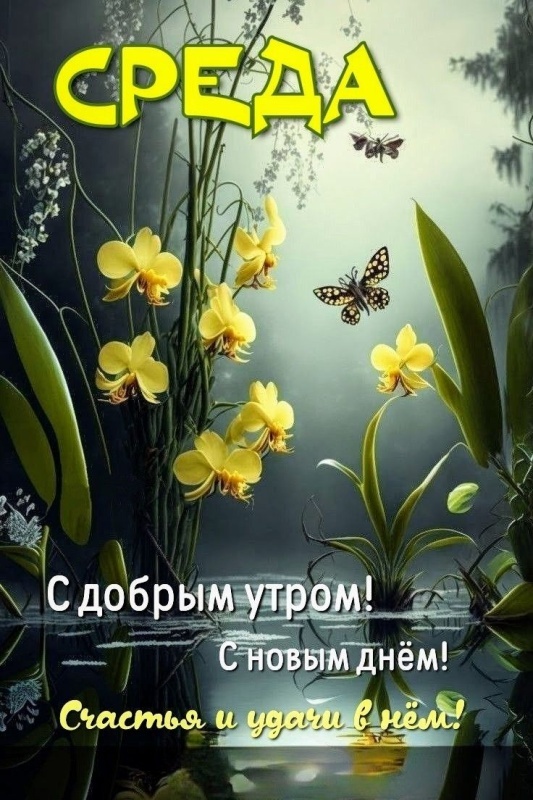 Картинки Доброе утро среды (90 открыток). Доброе утро среды - картинки с пожеланиями