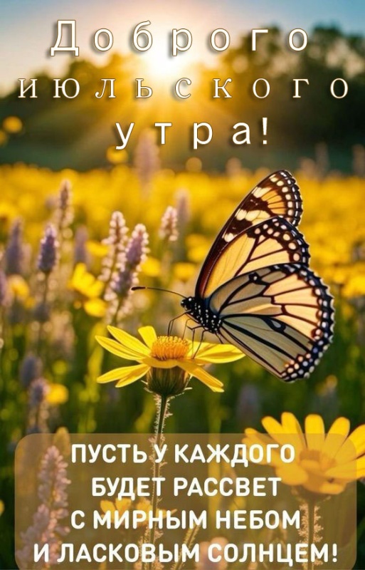 Картинки Доброе июльское утро