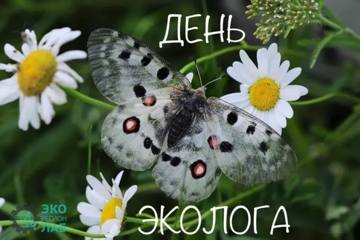 Картинки с Днем эколога (60 открыток). Красивые картинки с Днем эколога