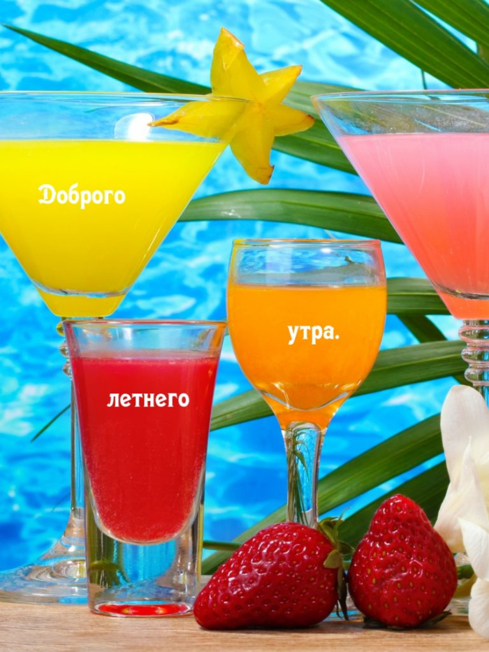 Картинки с добрым летним утром (195 открыток). Доброе летнее утро: картинки с надписями