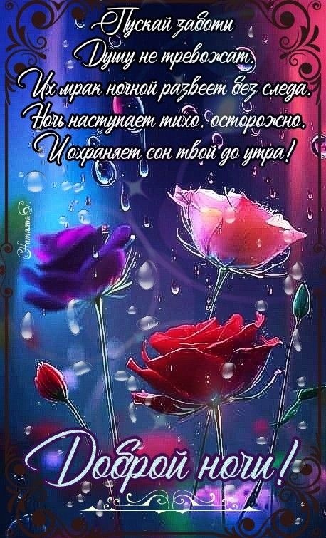 Картинки Доброй ночи красивые и прикольные. Картинки с пожеланием Доброй ночи