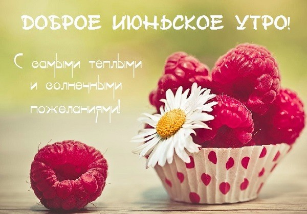 Картинки с добрым июньским утром (140 открыток). Доброе утро июня: картинки с надписями