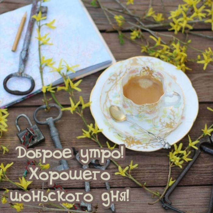 Картинки с добрым июньским утром (140 открыток). Доброе утро июня: картинки с надписями