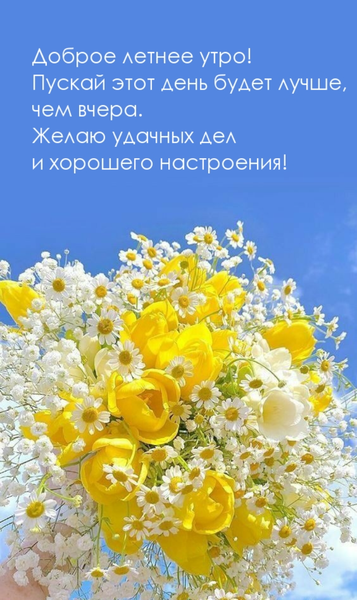 Картинки с добрым летним утром (195 открыток). Доброе летнее утро: картинки с надписями
